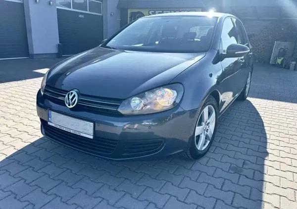 volkswagen Volkswagen Golf cena 20999 przebieg: 24900, rok produkcji 2011 z Kielce